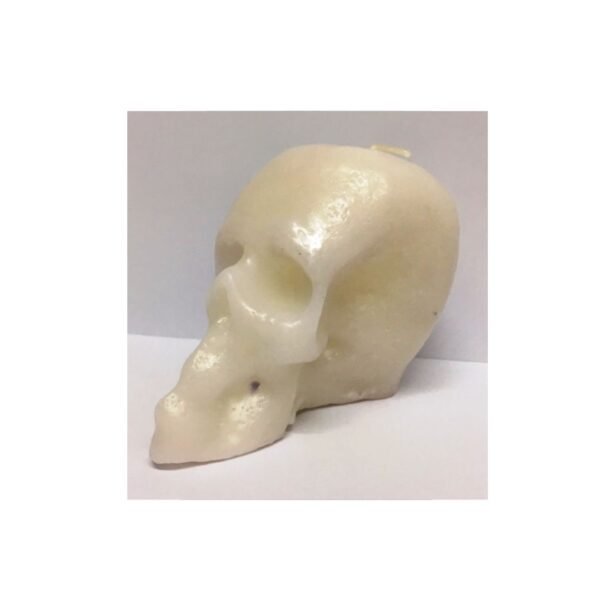 Vela Calavera Blanca.