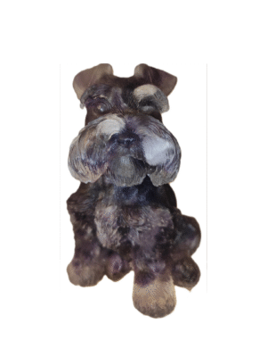 Perro Grande Amatista