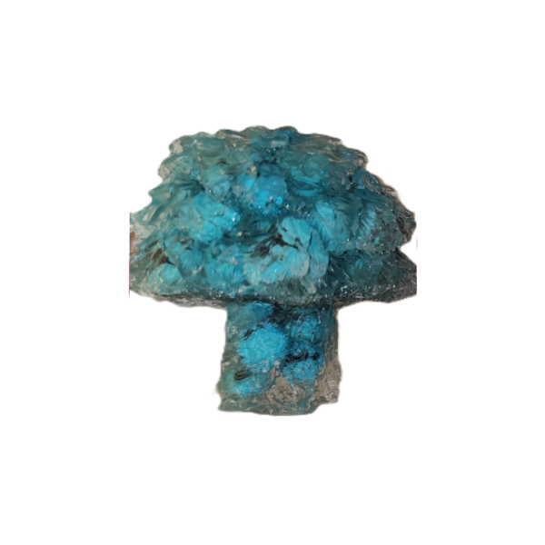 Árbol Turquesa