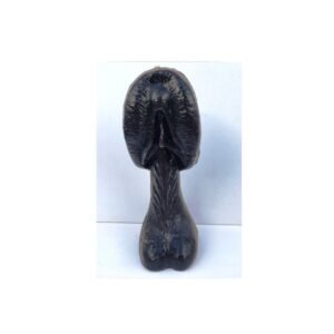Vela Negra Pene-Vagina