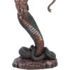 La Ira de Medusa (Mediana) 15,5 cm