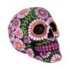 Calavera de pétalos de azúcar de 14,5 cm