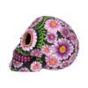 Calavera de pétalos de azúcar de 14,5 cm