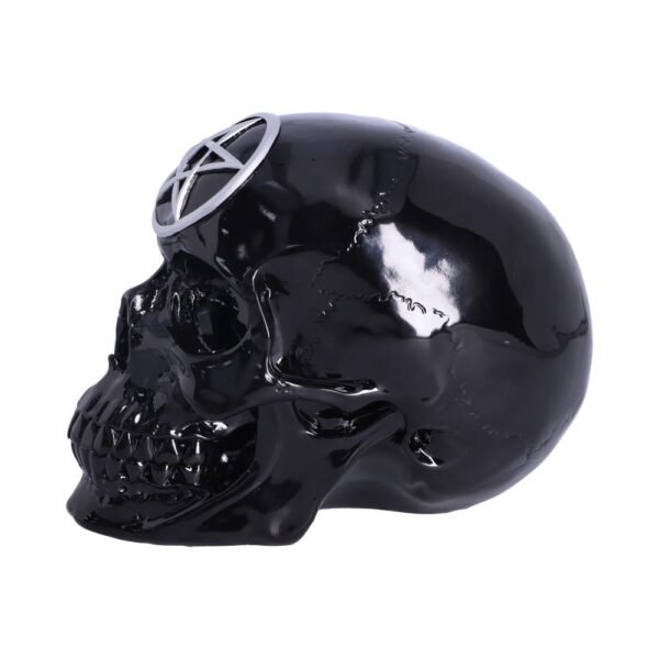 Calavera mágica Negra, 19,5 cm