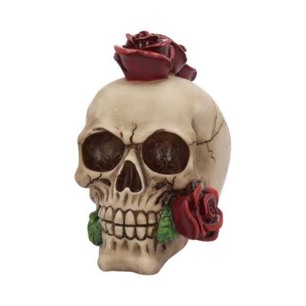 Calavera Rosehawk 16cm "ÚLTIMA UNIDAD"