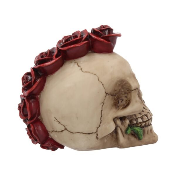 Calavera Rosehawk 16cm "ÚLTIMA UNIDAD"