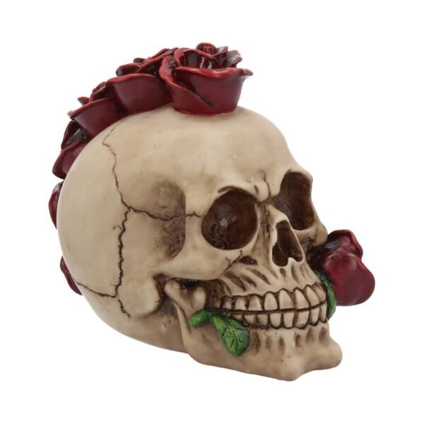 Calavera Rosehawk 16cm "ÚLTIMA UNIDAD"