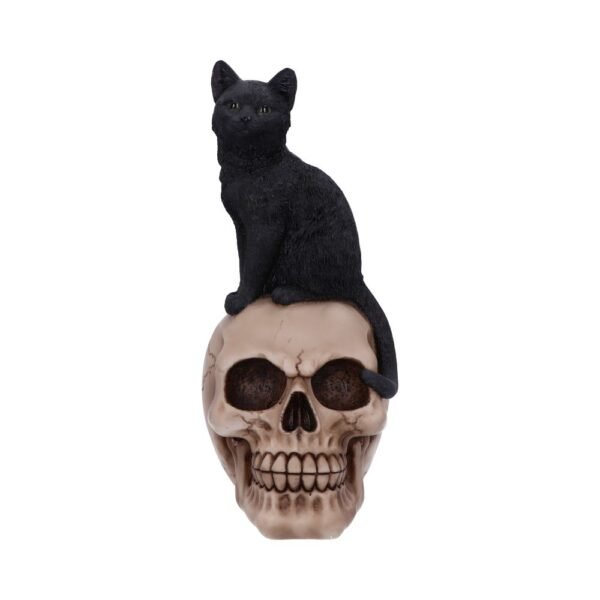 Figura de Gato y Calavera 24,3 cm "ÚLTIMA UNIDAD"