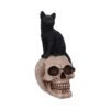 Figura de Gato y Calavera 24,3 cm "ÚLTIMA UNIDAD"