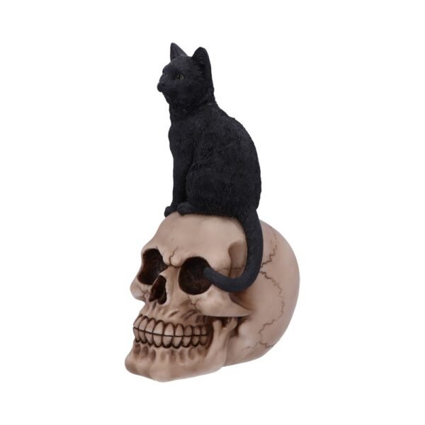 Figura de Gato y Calavera 24,3 cm "ÚLTIMA UNIDAD"