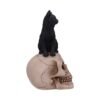 Figura de Gato y Calavera 24,3 cm "ÚLTIMA UNIDAD"