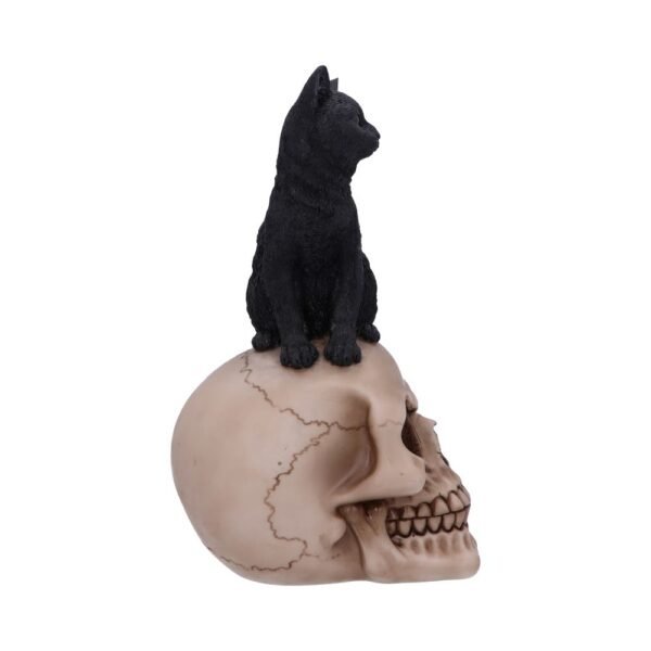 Figura de Gato y Calavera 24,3 cm "ÚLTIMA UNIDAD"