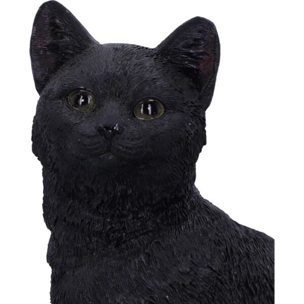 Figura de Gato y Calavera 24,3 cm "ÚLTIMA UNIDAD"