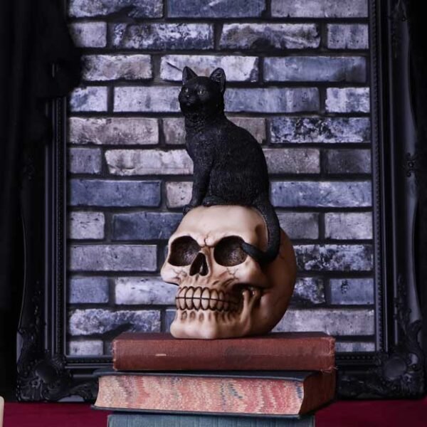 Figura de Gato y Calavera 24,3 cm "ÚLTIMA UNIDAD"