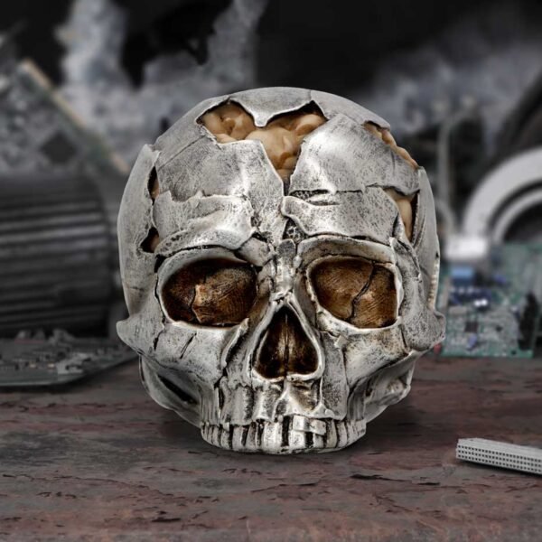 Calavera Fractura (Pequeña) 11cm